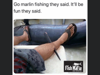 0D105686-C10B-43AD-A4A1-D17960FE571E.png