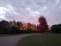 20201013_070453.jpg