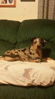20180925_063829.jpg