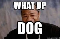 what up dog.jpg