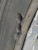 20201015_125747.jpg