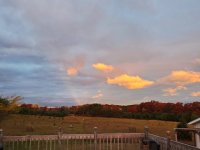 20201015_072350.jpg