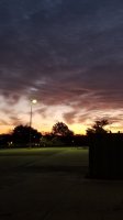 20201016_070819.jpg