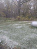 img20201016_112457.jpg