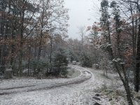 IMG_20201016_153556526.jpg