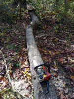 IMG_20201017_145820.jpg