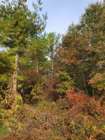 20200926_092220.jpg