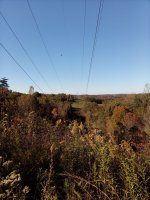 IMG_20201017_154853.jpg
