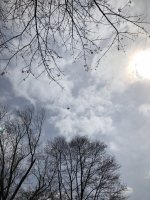 21ECD316-CB27-4522-AD6F-5DDB345B9AE8.jpeg 21ECD316-CB27-4522-AD6F-5DDB345B9AE8.jpeg