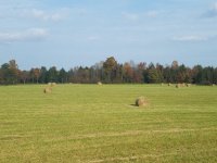 20201019_150426.jpg