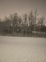 6D790555-823C-46D7-A3EB-FA556A11061C.jpeg