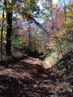 IMG_20201021_134518.jpg