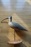 birds1.jpg