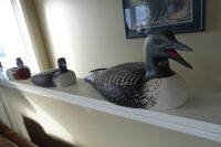 birds2.jpg