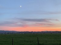 EC943C83-575C-4326-BCF4-BC87E0615353.jpeg