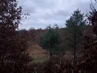 20201024_070547.jpg