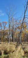 20201024_105215.jpg