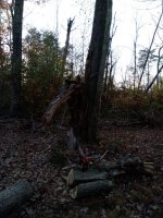 IMG_20201023_180259.jpg
