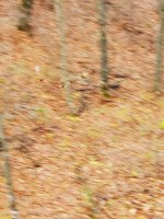 20201024_151816.jpg