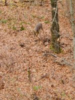 20201024_151759.jpg
