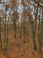 20201024_154122.jpg