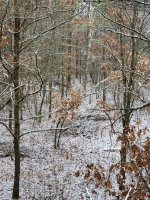 20201025_161407.jpg