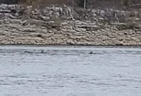 IMG_20201024_105833~2.jpg