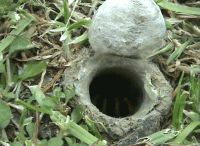 7363871fa741d29049be9260bbe02364.gif
