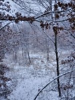 20201025_180023.jpg