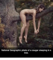 D47F9B3A-4013-42AD-BBB3-5C9C8A44809E.png