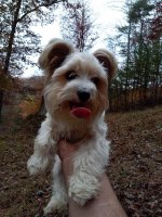 IMG_20201027_171423.jpg