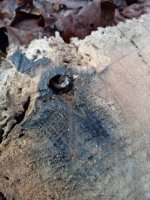 IMG_20201027_180839.jpg