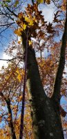 20201028_144420.jpg