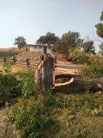 IMG_20201028_094848835.jpg