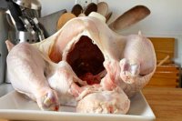 20111102-stuffed-turkey-01.jpg