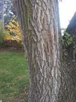 20201029_171905.jpg