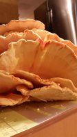 20201028_001605.jpg