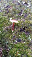 20201027_162321.jpg