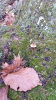 20201027_162328.jpg