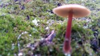 20201027_162324.jpg
