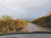 20201028_155553.jpg