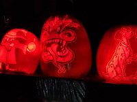 20201029_195250.jpg