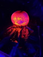 20201029_195801.jpg
