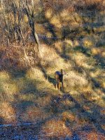 20201030_154635.jpg