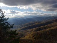20201030_165414.jpg