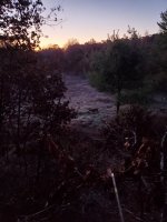 20201031_070709.jpg