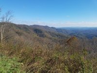 20201031_150354.jpg