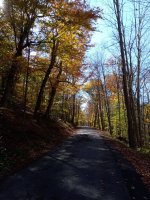 IMG_20201022_133249.jpg