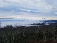 20201101_073259.jpg