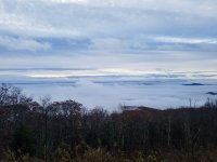 20201101_072956.jpg